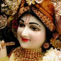 Krishna Web Technologies