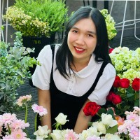 Thư Phan