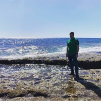 Mostafa H