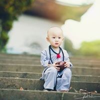 Hiếu Đào