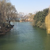 桑乐乐