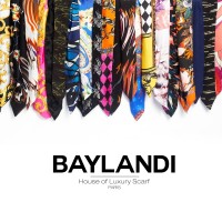 Baylandi Communication