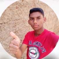 Davi Da Silva Goncalves Moreira