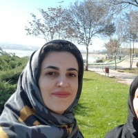 Shirin Hataminia