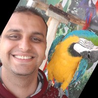 Ahmad Shokry