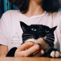 王圆圆