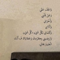Manal Hosny