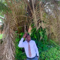 Aro Sulaimon