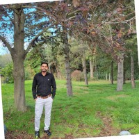 Manjeet Singh