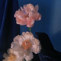 耿俊宇