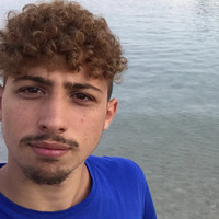 Luca Parisi