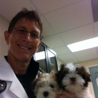 Vicki Kucia, DVM, CVA