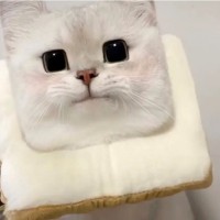 张丽馨