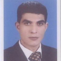 Amr Ghaly