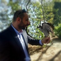 AKIN GÜLHAN