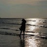 Miss Alone