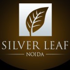 Silver Leaf