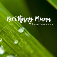 Brittany Munn