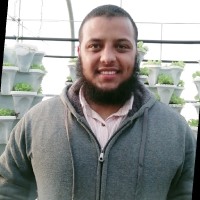Waleed Farag