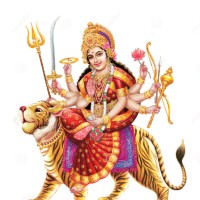 Ambica Electricals
