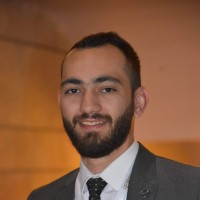 Alaa K.Ebada