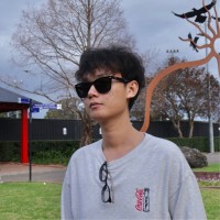 Long Thinh Le