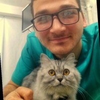Ezz Essam