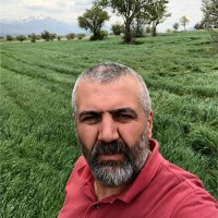 Durdu Mercan