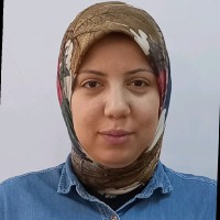 Omnia Metwalli