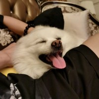 杨佳辉