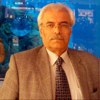mahmoud rostam afshar