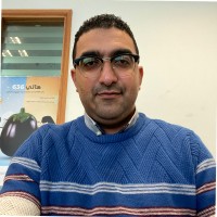 Wael Marzouk