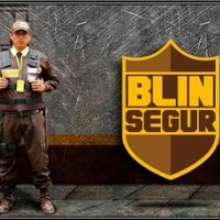 blinsegur seguridad