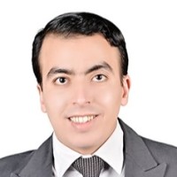 Saleh Abd El-Hameed