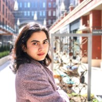 Summer Hameed