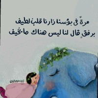 Safaa Manaa