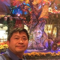 Hieu Doan