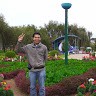 Phuc Tran bao