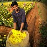 Maddu Varaprasad
