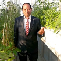 ayman saleh