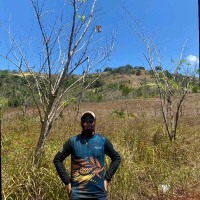 Hadi Saputra