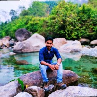 Bishal Roy