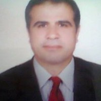 محمد الشربيني