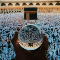zain ali
