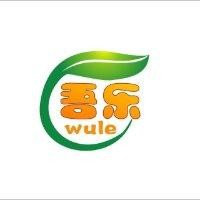 陈来成