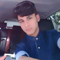 ali ashkanani