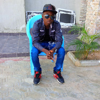 Wizoboy Showboy