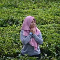 Lilian Fa