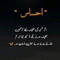 Armaan Abbas