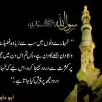 Muhamad Kashif